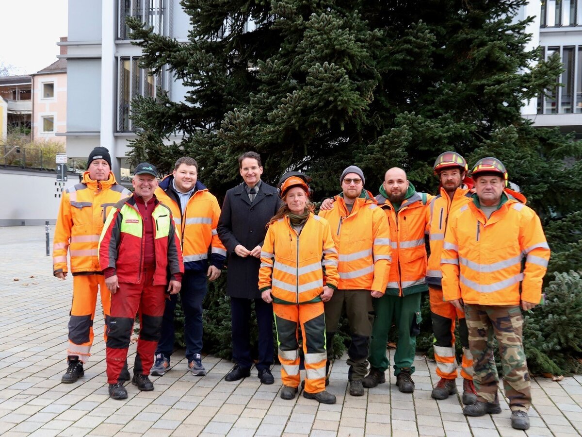Christbaum auf dem Ingolstädter Rathausplatz